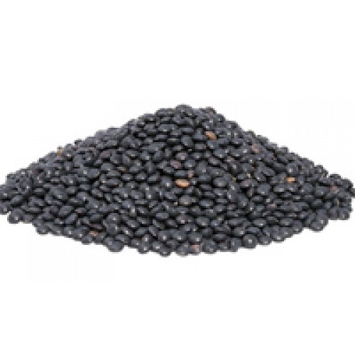 Black Beluga Lentils